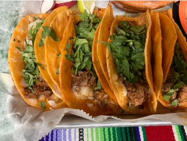 Birria tacos topped with cilantro and onion