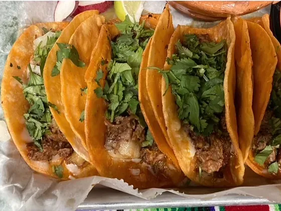 Birria tacos with cilantro and onion